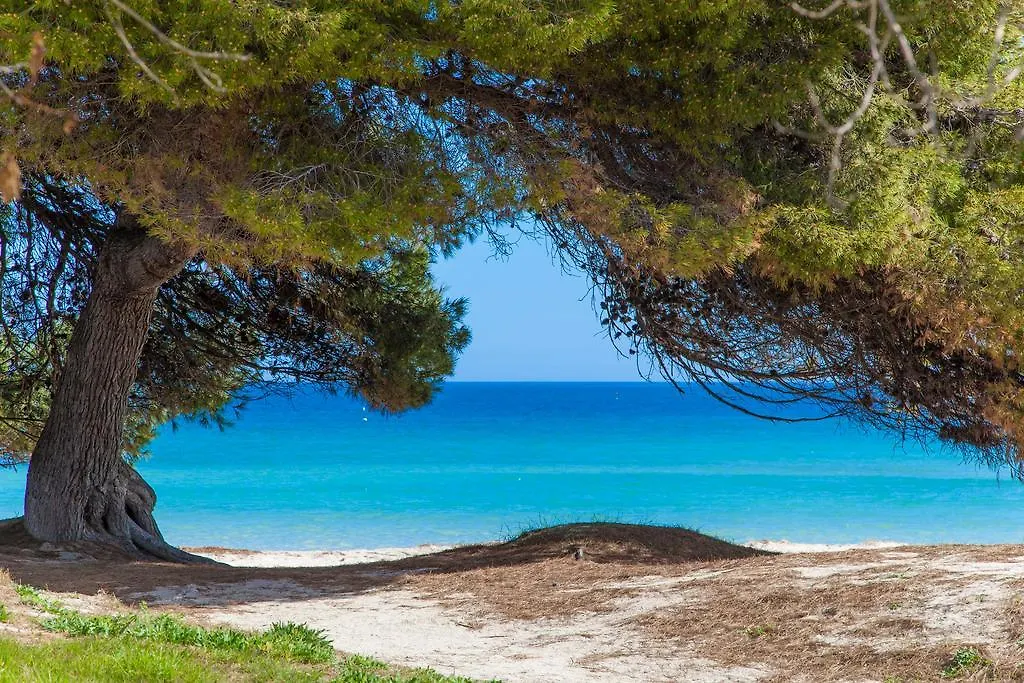 Rodriguez De La Fuente 19 Βίλα Platja de Muro
